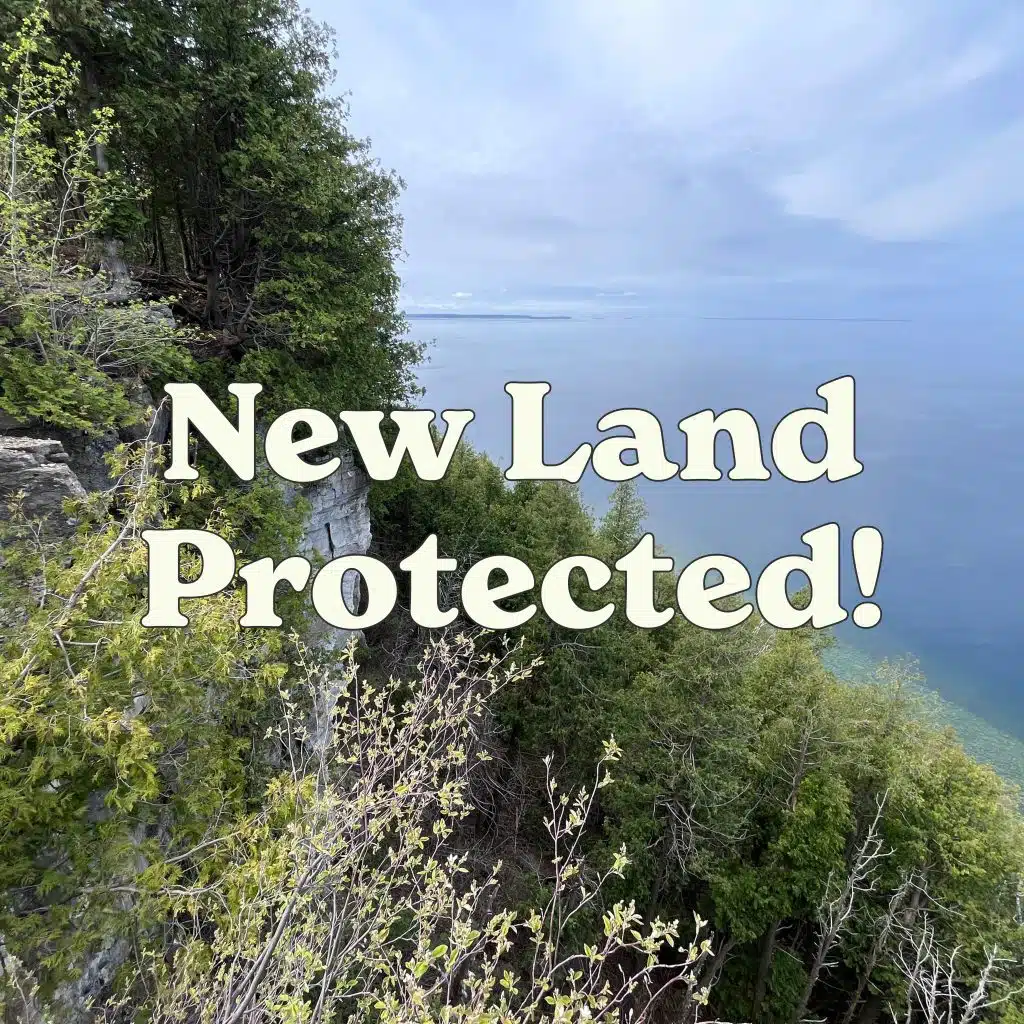 New Land Protected square Gearen CE