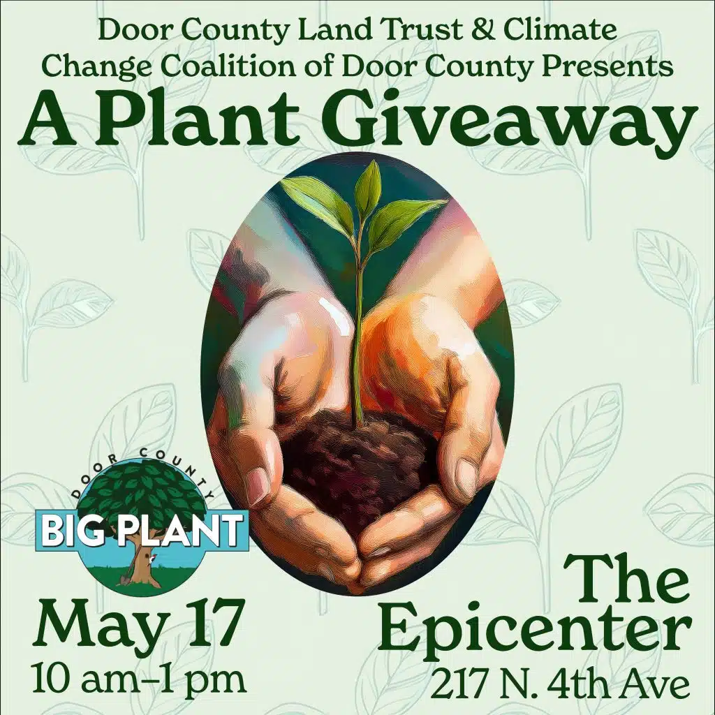 Square image plant giveaway