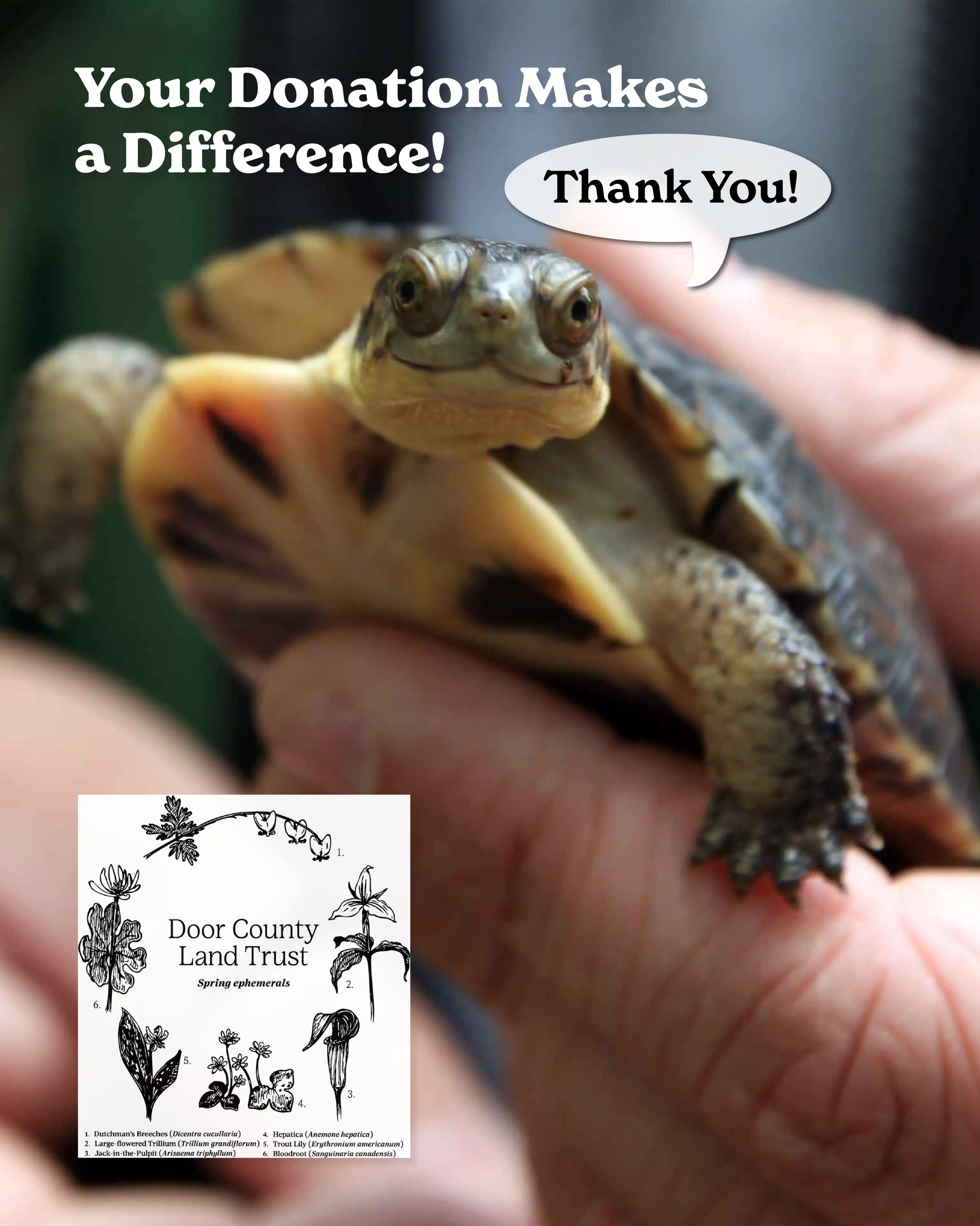 Your donation makes a difference