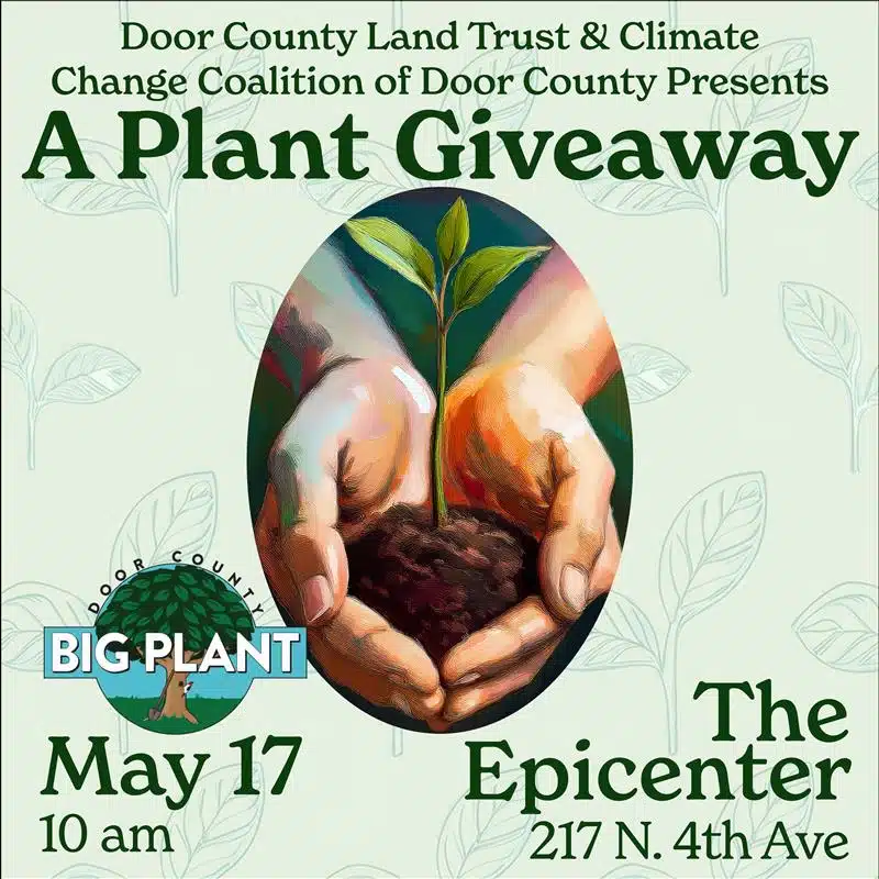 A plant giveaway