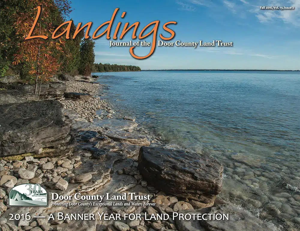 2016 Landings – Fall Cover