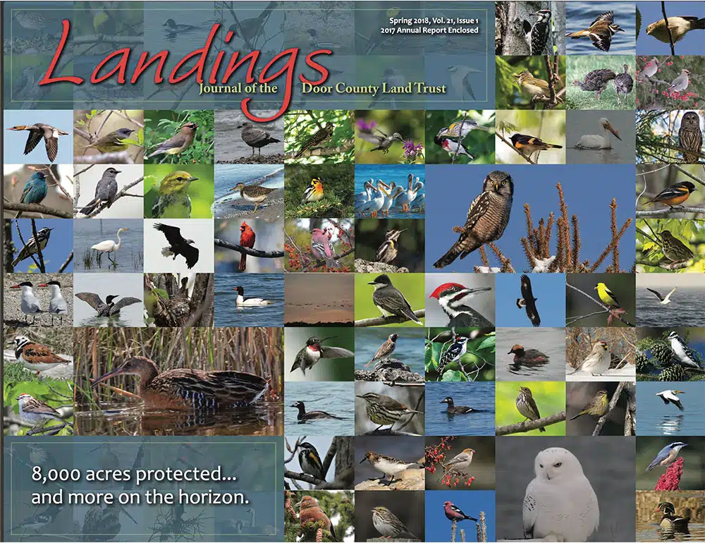 2018 Landings – Winter Cover