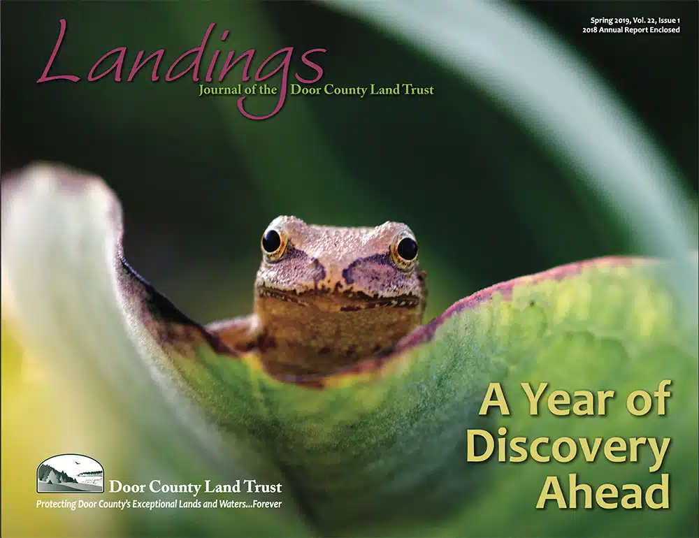 2019 Landings – Spring Cover