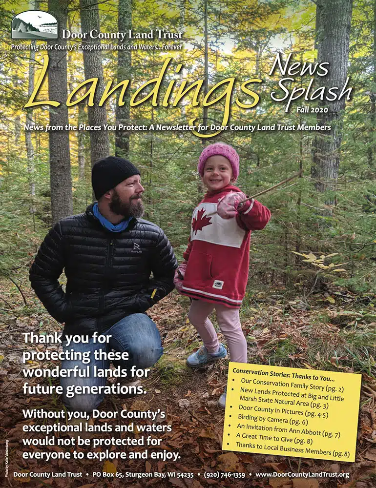 2020 Landings – Fall Cover