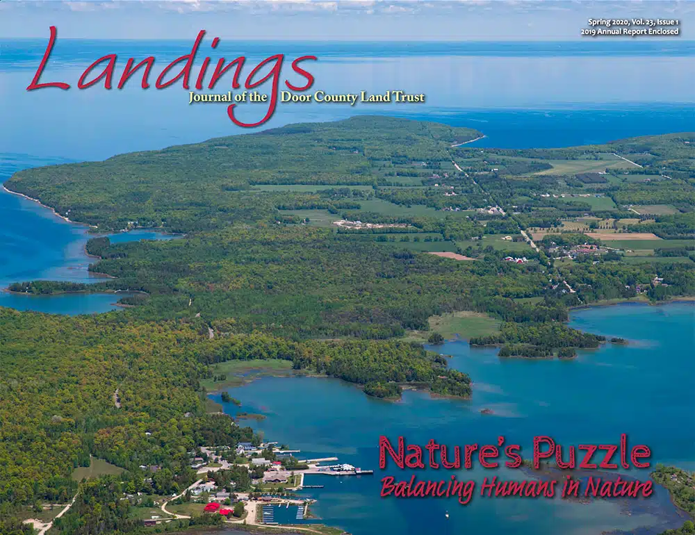2020 Landings – Spring Cover