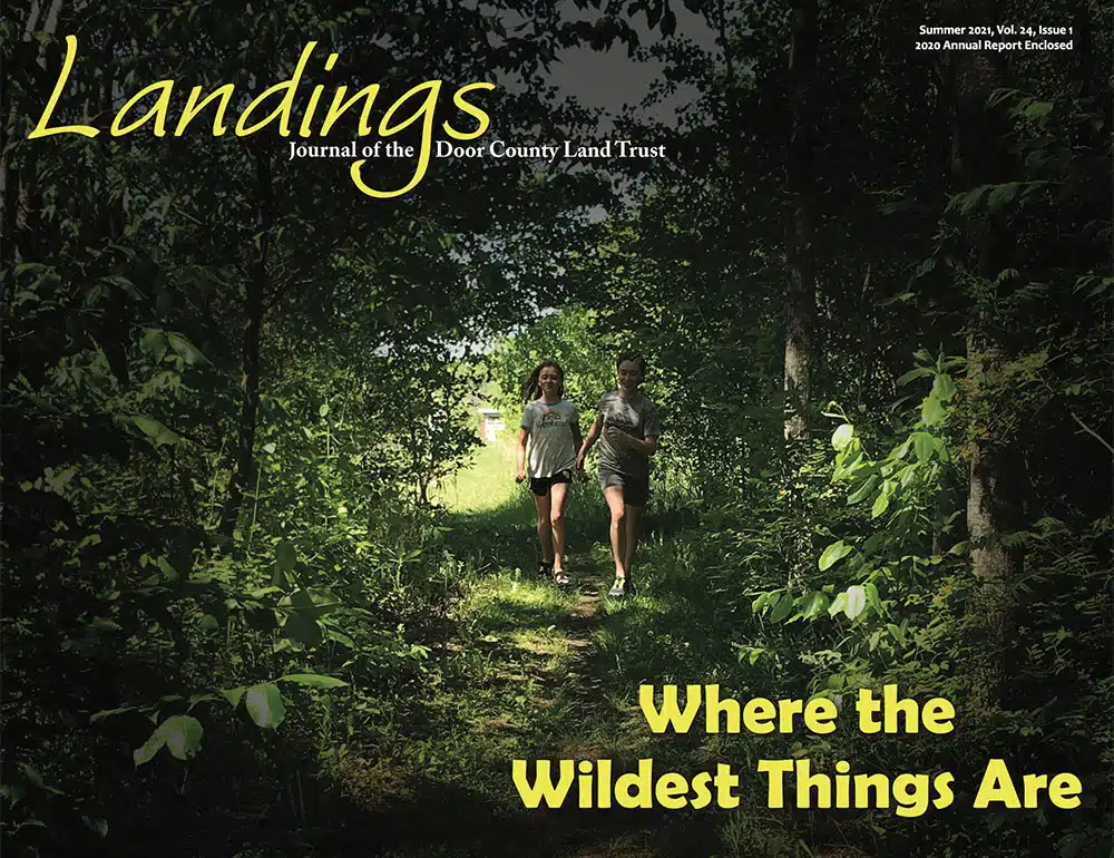 2020 Landings – Spring Cover