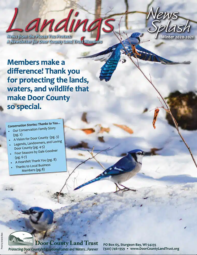 2020 Landings – Fall Cover