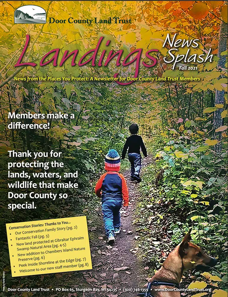 2021 Landings – Fall Cover