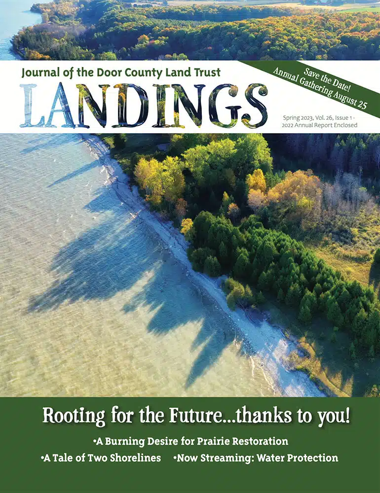 2023 Landings – Spring Cover