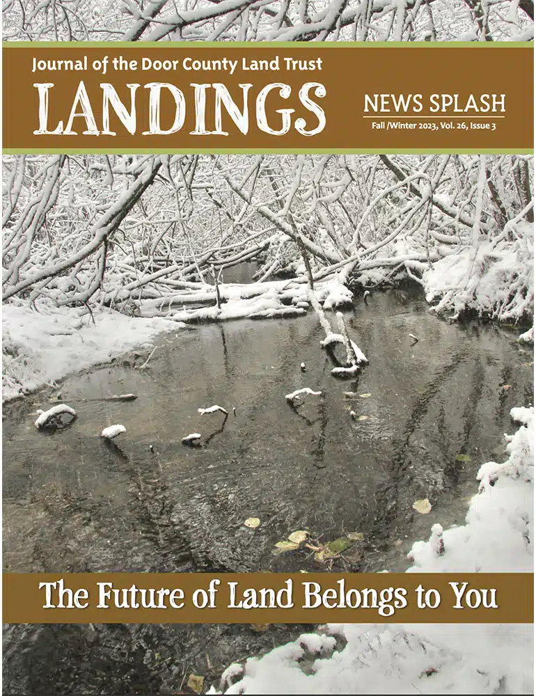 2024 Landings – Fall Cover