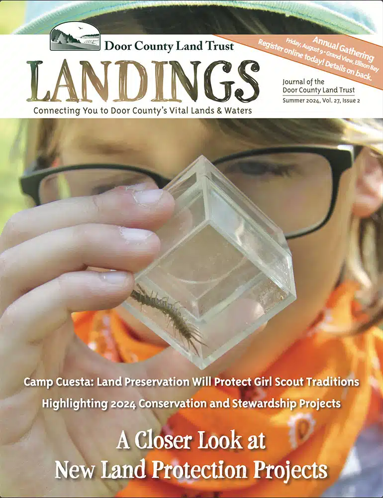 2024 Landings – Summer Cover