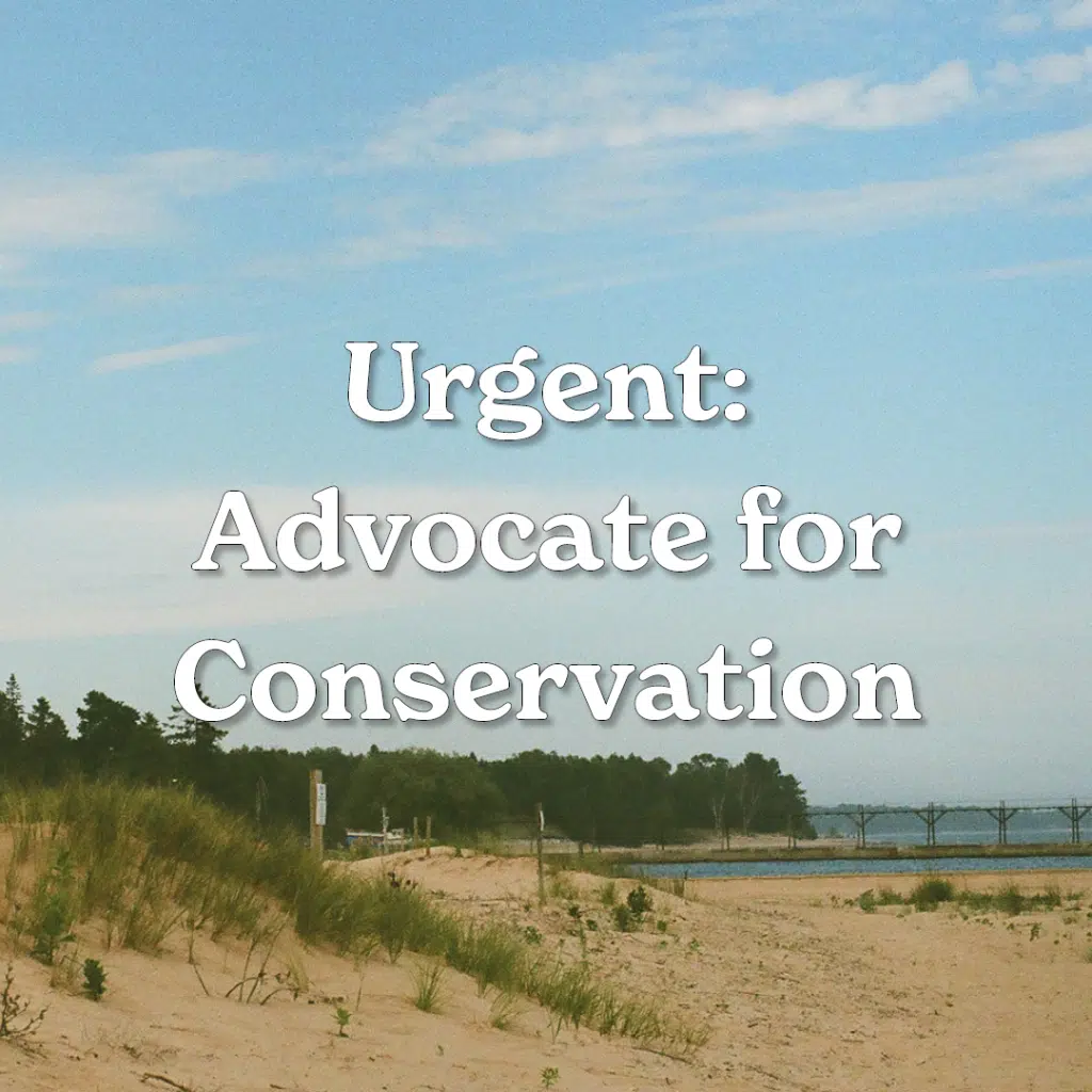 Advocate for Conservation