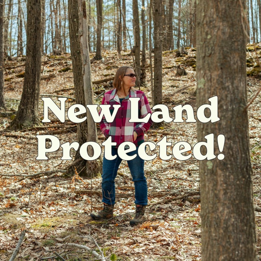 New Land Protected square Rebecca Barnard