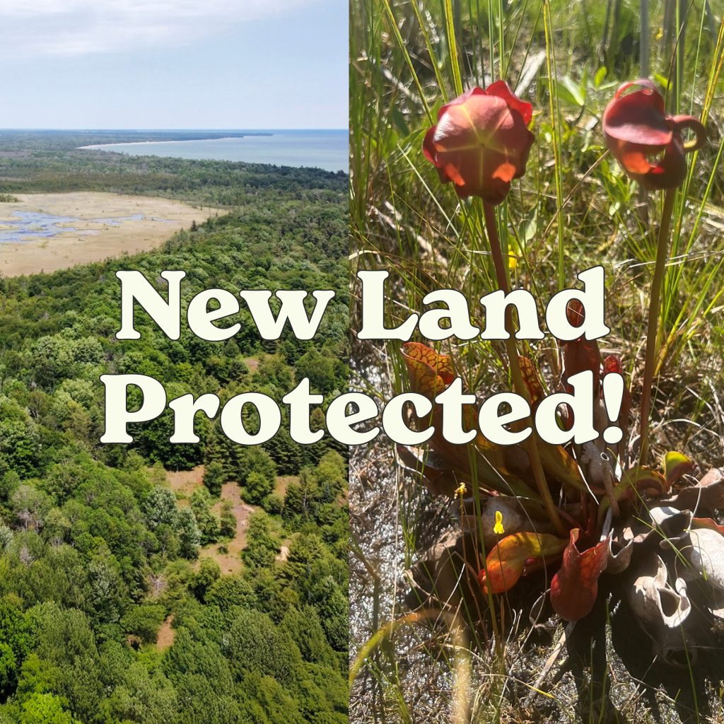 New Land Protected square