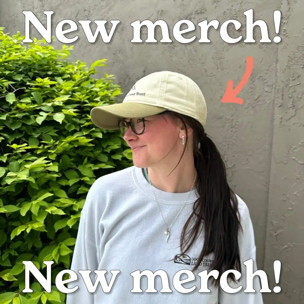 New Merch pic